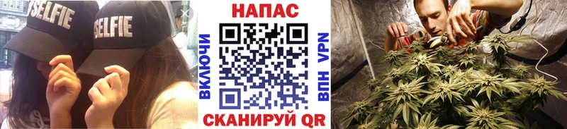 где купить наркотик  Алагир  Марихуана план 
